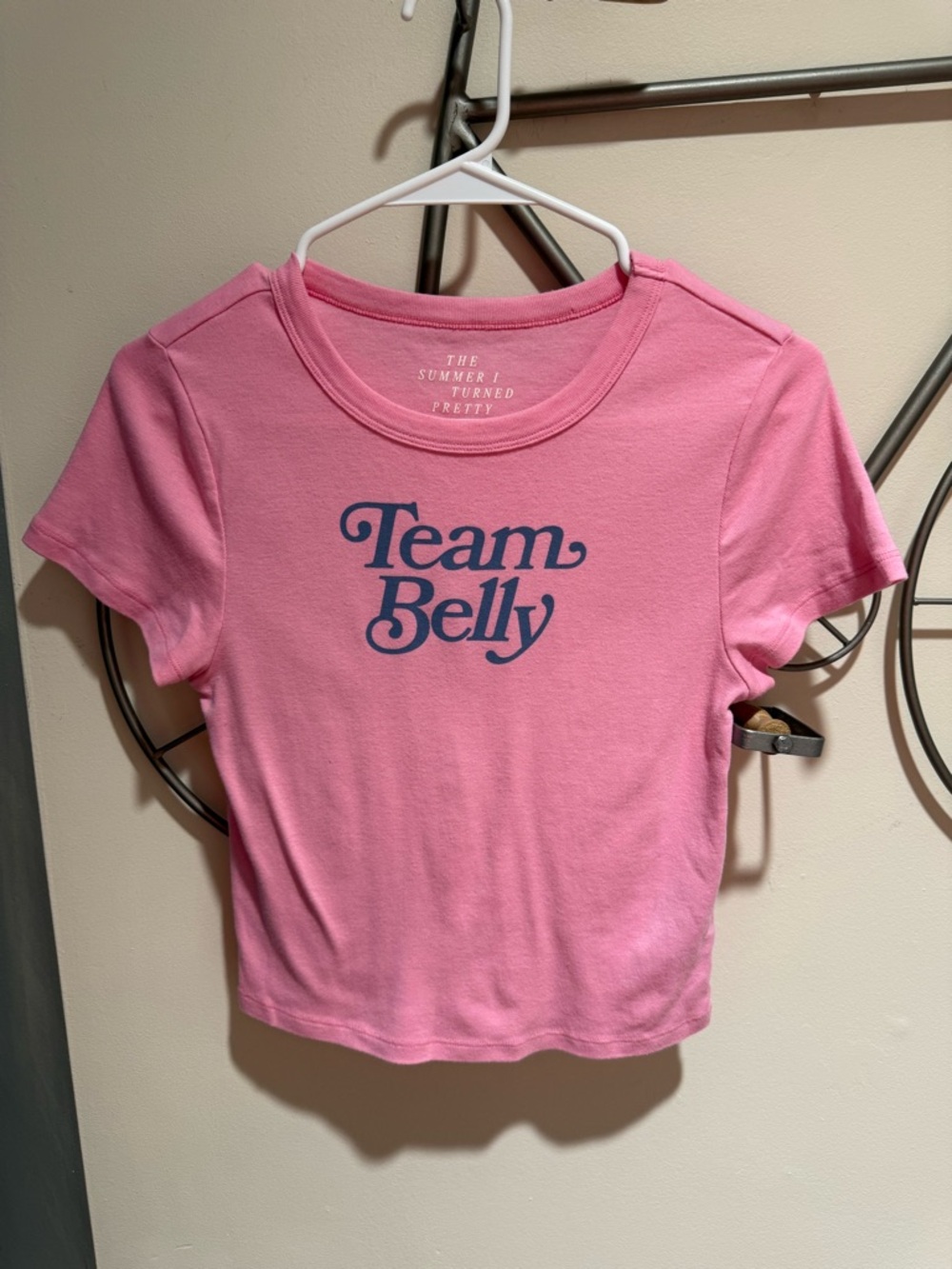 American Eagle Team Belly “Summer I Turned Pretty” Crop Tee Size L Cotton Blend